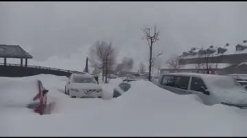 nieve dgt nieve dgt