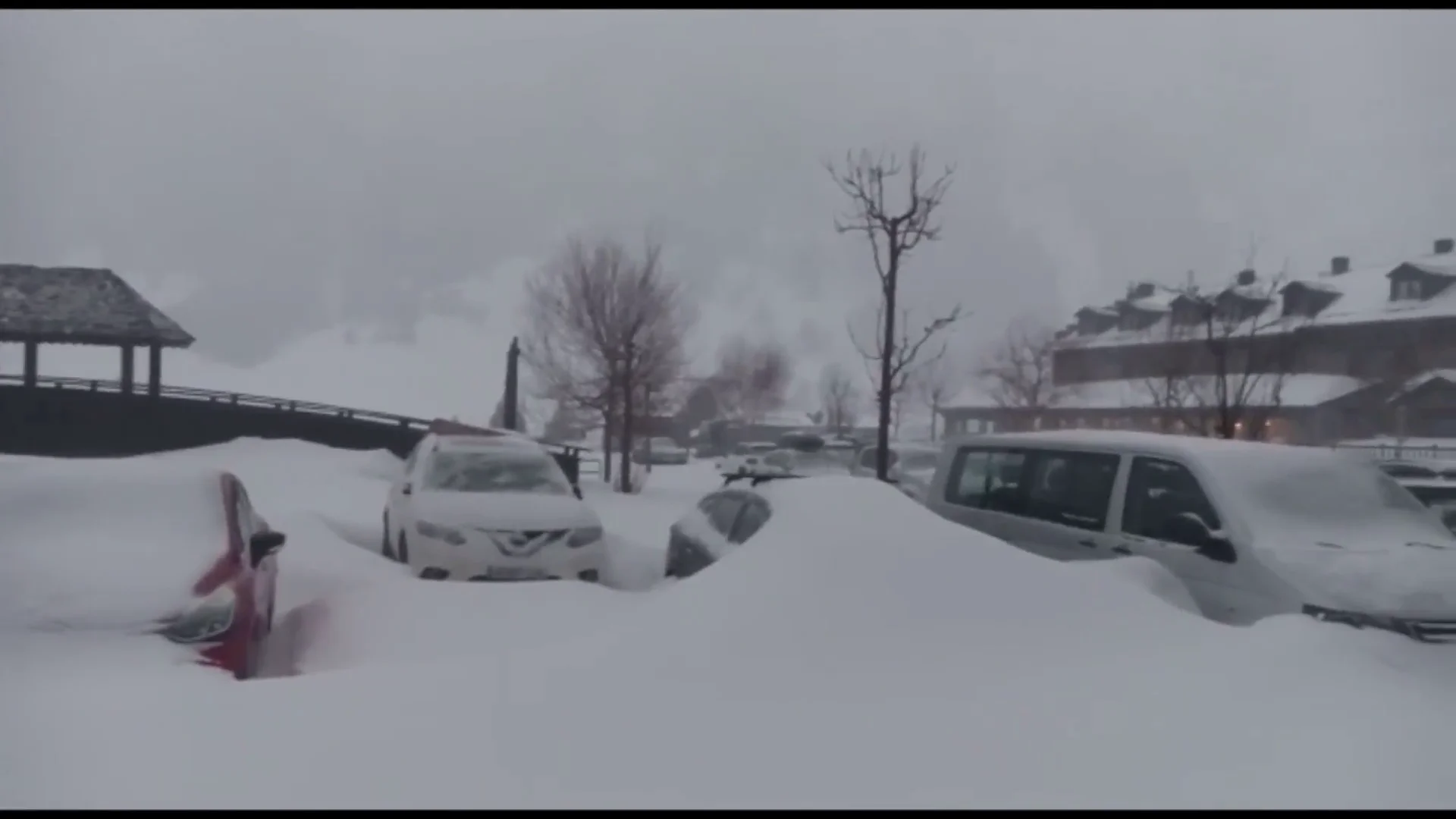 nieve dgt