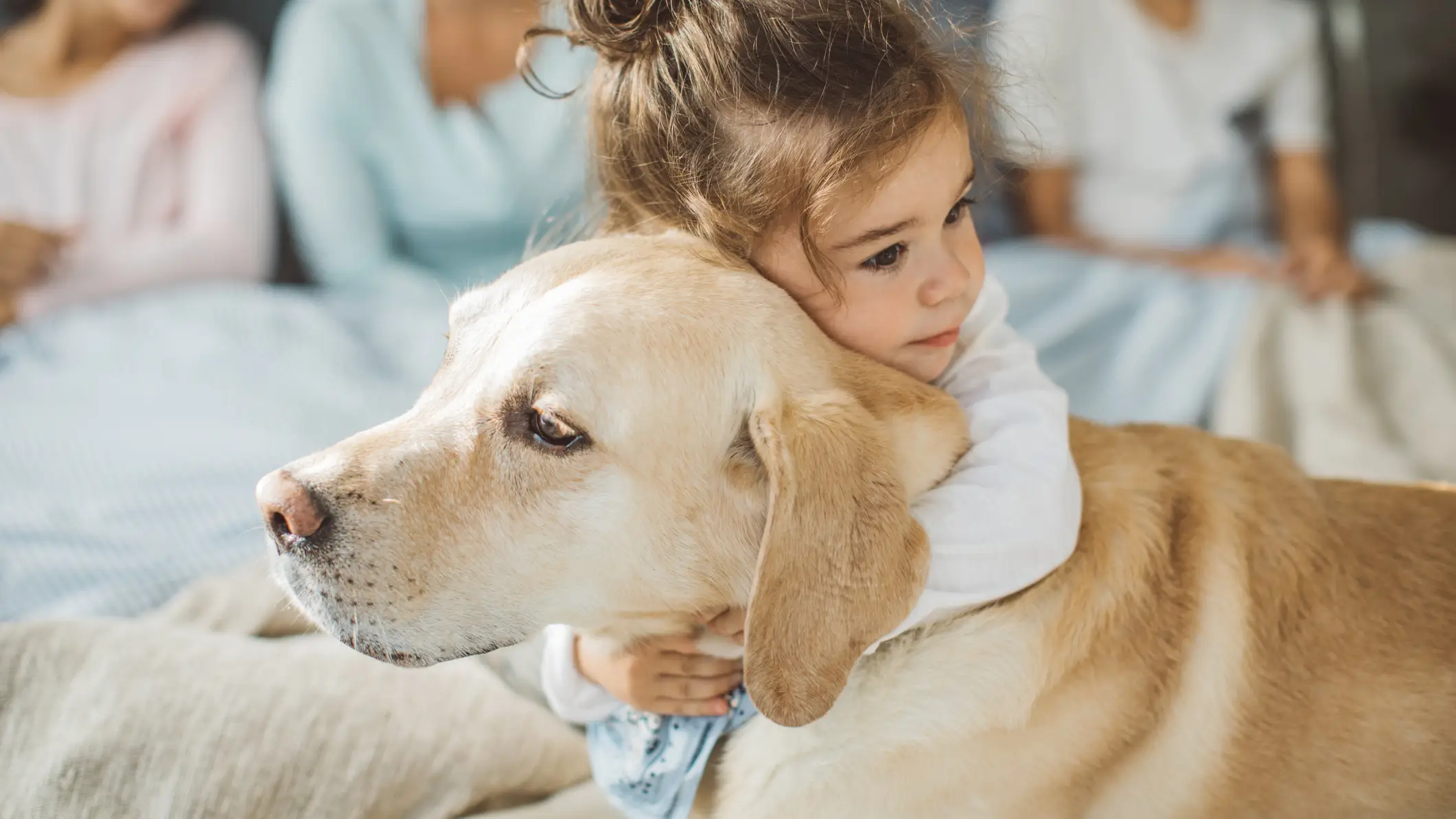 Por qu&eacute; se celebra el d&iacute;a de los derechos humanos y el de los animales el 10 de diciembre?