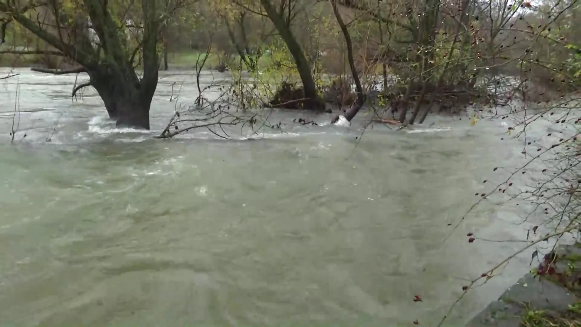 Río Pamplona Río Pamplona