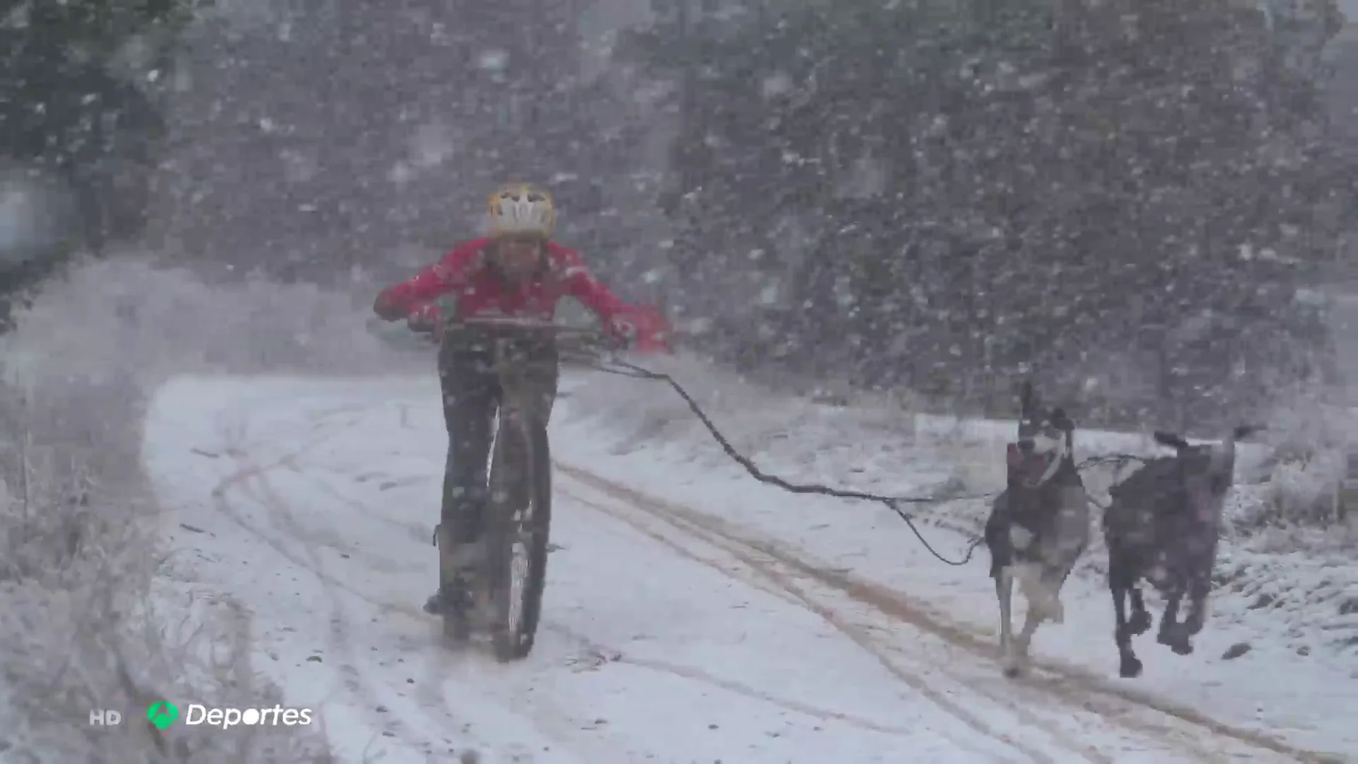 mushing mushing