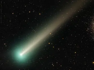 Así será posible ver el cometa Leonard, que podrá observarse esta semana desde la Tierra Así será posible ver el cometa Leonard, que podrá observarse esta semana desde la Tierra