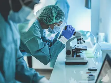 Descubrimiento clave en la lucha contra el cáncer para prevenir la metástasis Descubrimiento clave en la lucha contra el cáncer para prevenir la metástasis