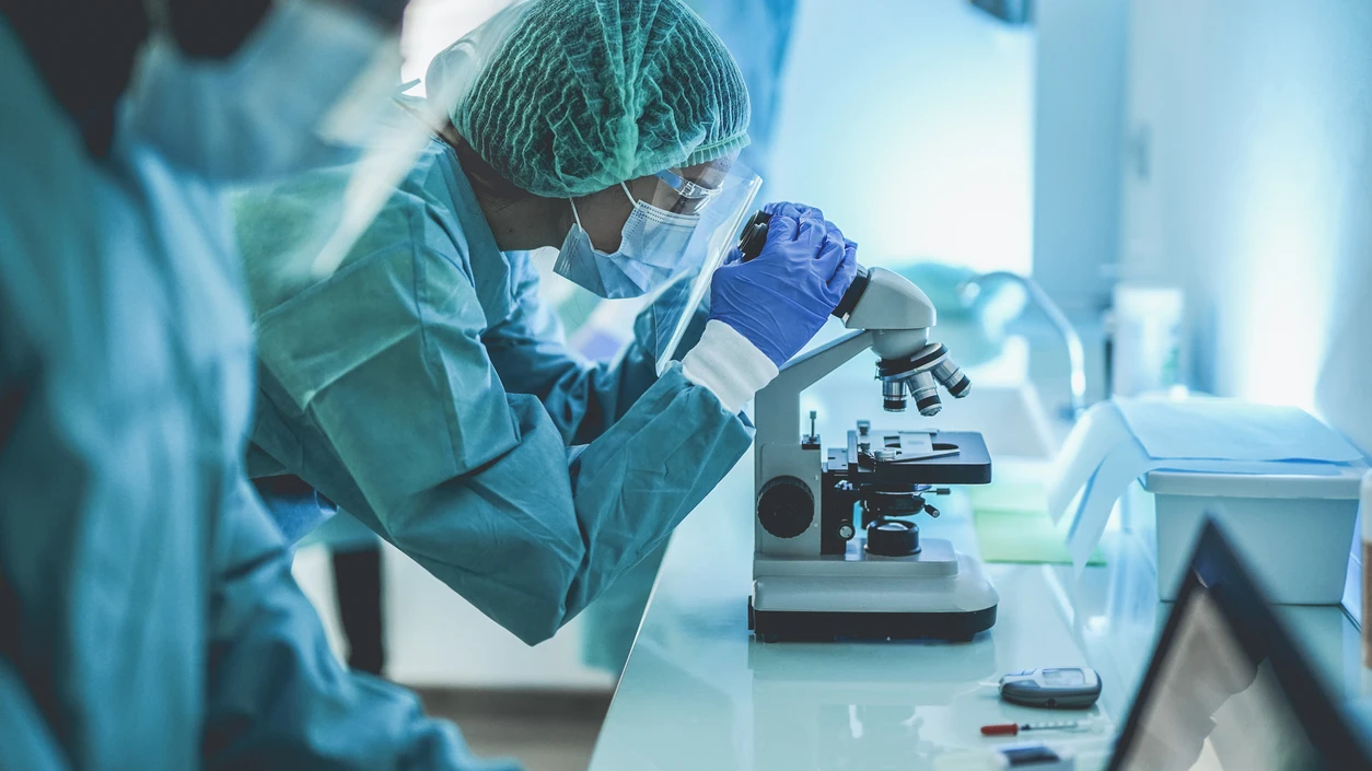 Descubrimiento clave en la lucha contra el c&aacute;ncer para prevenir la met&aacute;stasis