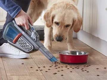 Las 10 mejores aspiradoras de mano del 2021 Las 10 mejores aspiradoras de mano del 2021