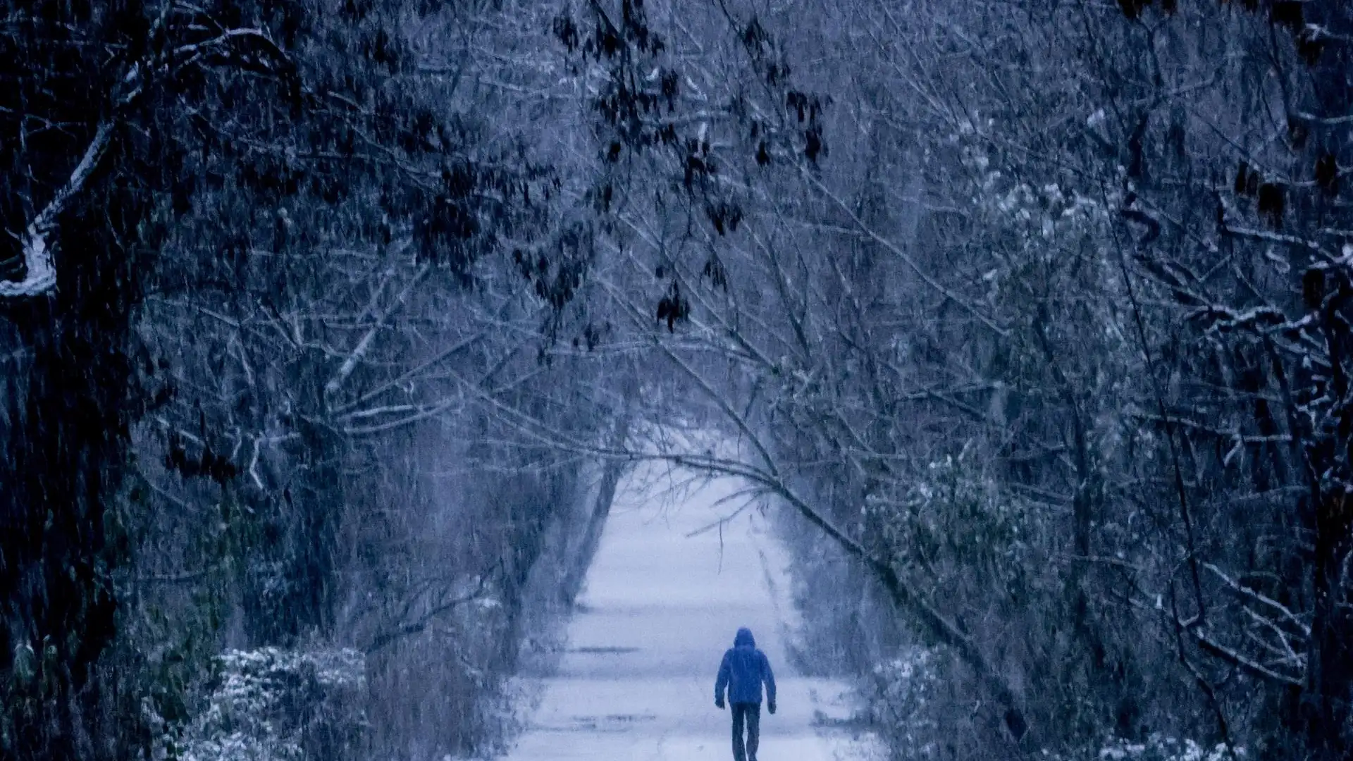 Cómo será el invierno 2021 en España Cómo será el invierno 2021 en España