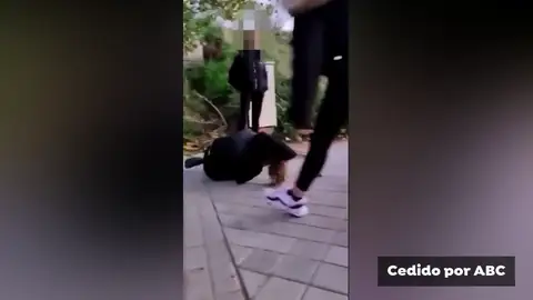 El vídeo con el que una adolescente denuncia una brutal paliza que 7 menores le habrían dado: "Verás la que te espera" El vídeo con el que una adolescente denuncia una brutal paliza que 7 menores le habrían dado: "Verás la que te espera"