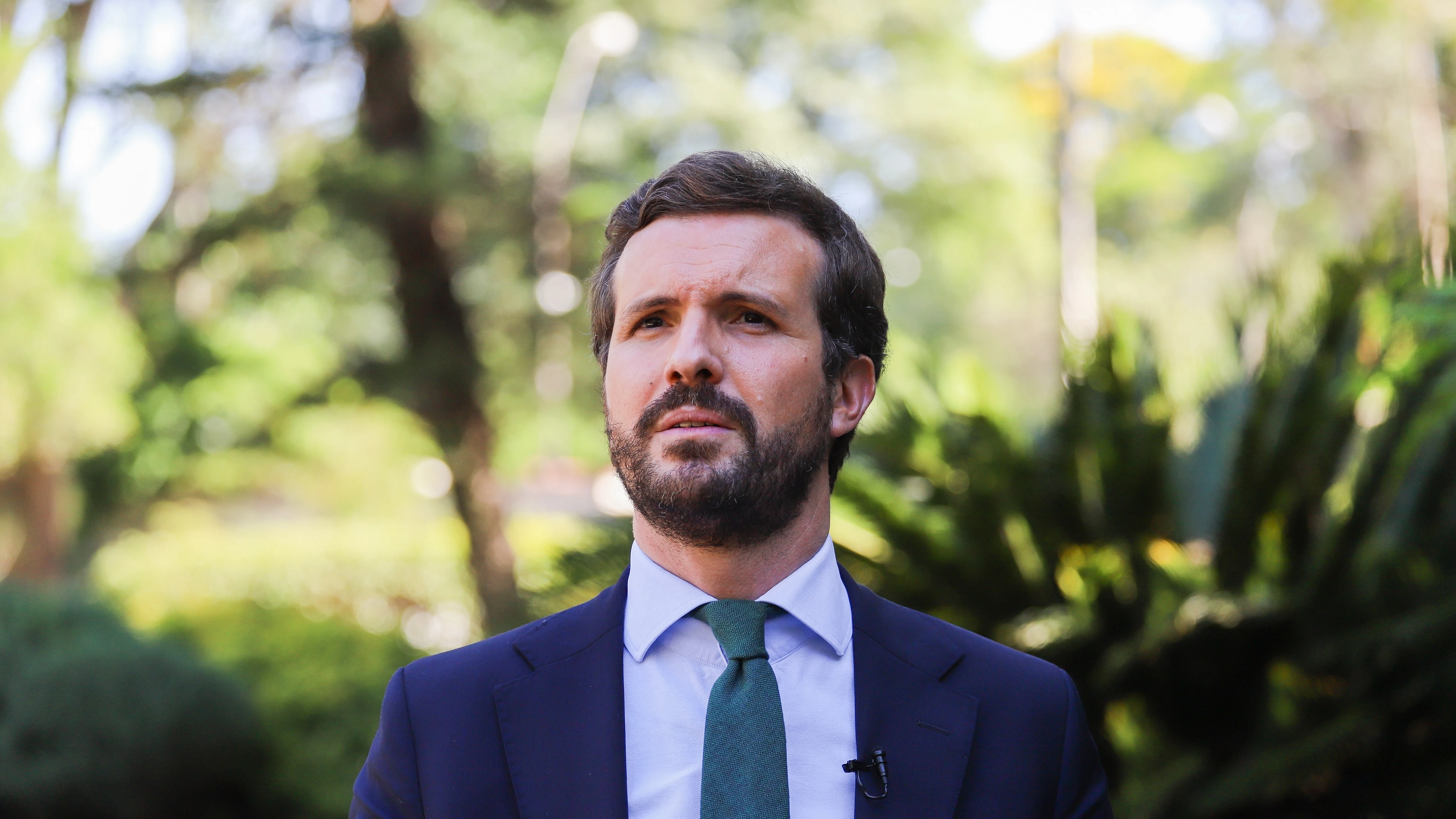 El líder del PP, Pablo Casado El líder del PP, Pablo Casado