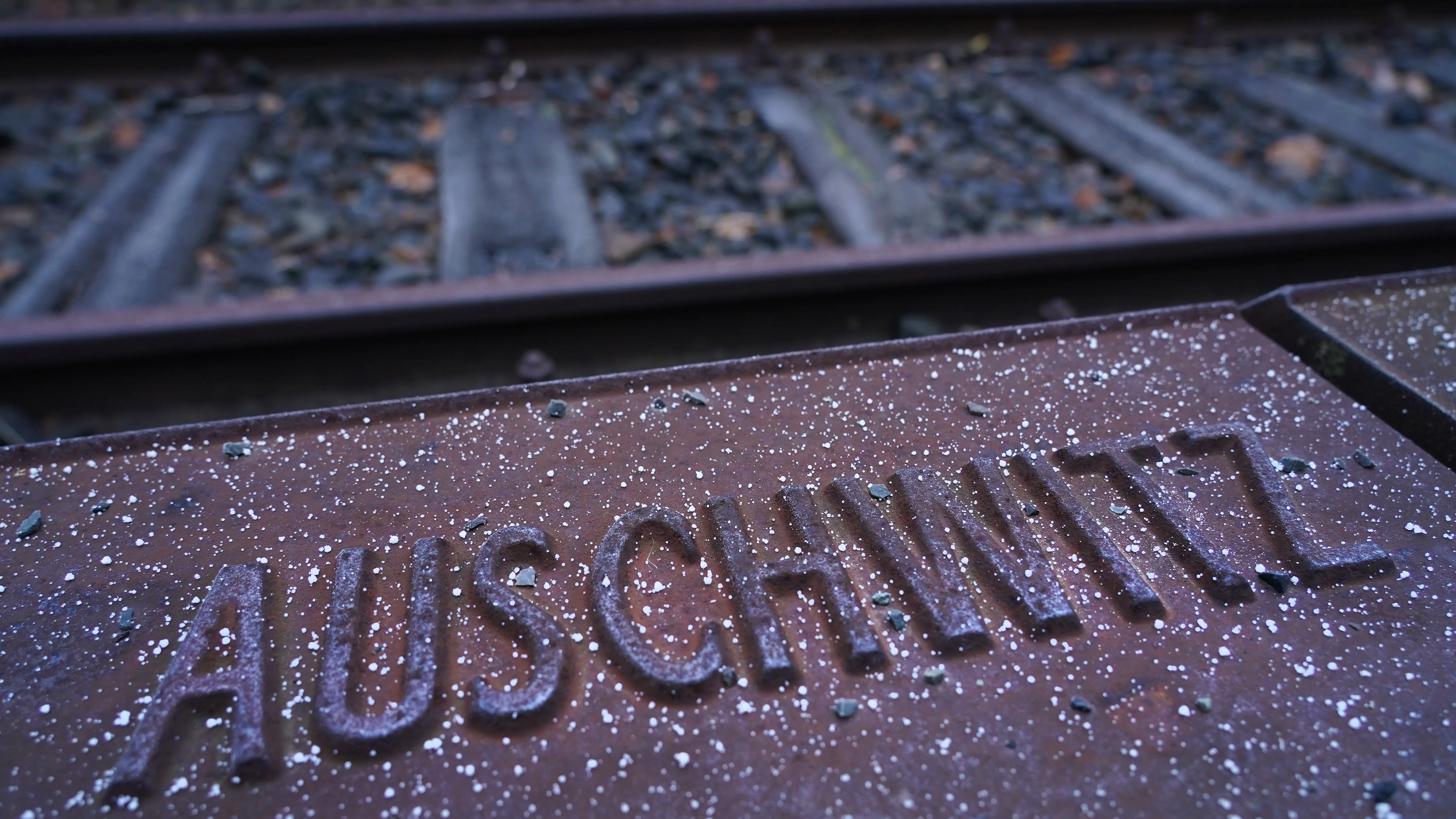 El Museo Memorial de Auschwitz responde con firmeza a las comparaciones de la vacunación con el Holocausto El Museo Memorial de Auschwitz responde con firmeza a las comparaciones de la vacunación con el Holocausto