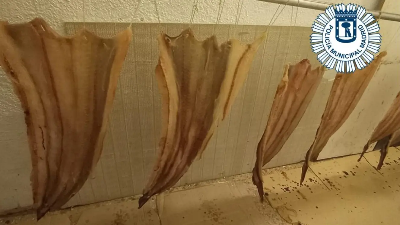 Alimentos caducados, sin medidas sanitarias y la dependienta fumando en un bazar de Carabanchel