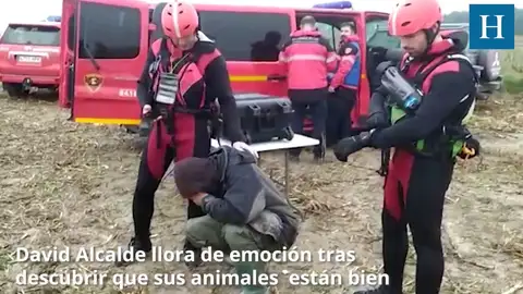 Pastor desolado. Pastor desolado.