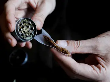 Malta, el primer país de la Unión Europea en legalizar el cultivo y consumo de cannabis Malta, el primer país de la Unión Europea en legalizar el cultivo y consumo de cannabis