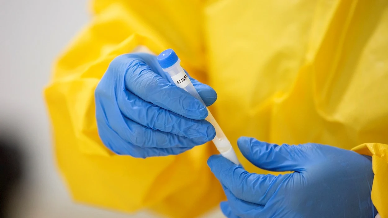 Una sanitaria porta un test de antígenos. Una sanitaria porta un test de antígenos.