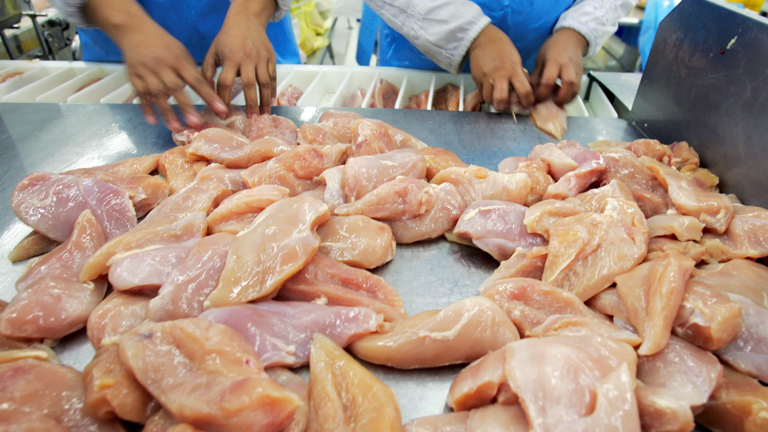 Afectados 14 ancianos de una residencia de Madrid por un brote de salmonella en hamburguesas de pollo
