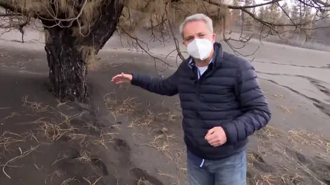 Vicente Vallés accede con un equipo científico a la zona de exclusión del volcán de La Palma Vicente Vallés accede con un equipo científico a la zona de exclusión del volcán de La Palma