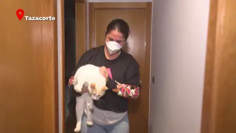 Afectada por el volcán de La Palma Afectada por el volcán de La Palma