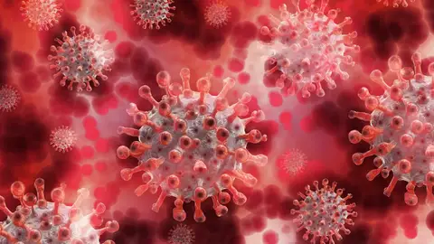 Imagen del coronavirus Imagen del coronavirus