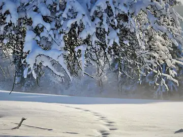 ¡Bienvenido invierno 2021! Las mejores frases sobre la nueva estación ¡Bienvenido invierno 2021! Las mejores frases sobre la nueva estación