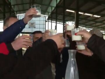Un pueblo de Córdoba propone brindar esta Navidad con leche para apoyar a los ganaderos