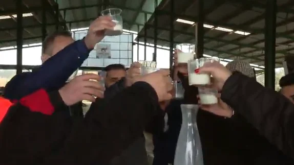 Un pueblo de Córdoba propone brindar esta Navidad con leche para apoyar a los ganaderos Un pueblo de Córdoba propone brindar esta Navidad con leche para apoyar a los ganaderos