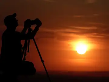 Un experto del MIT asegura que estamos cerca de "otra extinción masiva" Un experto del MIT asegura que estamos cerca de "otra extinción masiva"