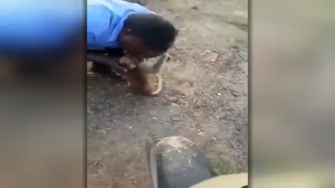Un taxista resucita a un mono haciéndole el boca a boca en la India Un taxista resucita a un mono haciéndole el boca a boca en la India