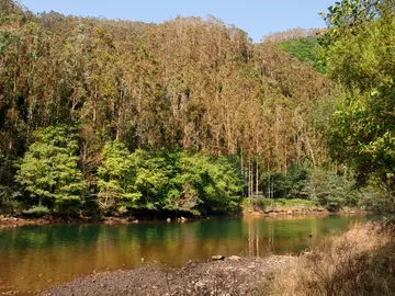 Un cazador descubrió a un hombre acampado en el parque de las Fragas do Eume que corresponde con la descripción del fugado. Un cazador descubrió a un hombre acampado en el parque de las Fragas do Eume que corresponde con la descripción del fugado.