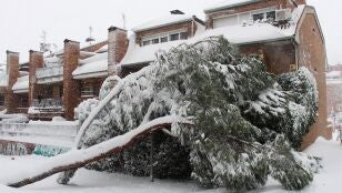 Las ayudas por Filomena llegar&aacute;n en 2022