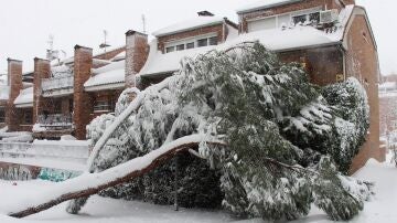 Las ayudas por Filomena llegar&aacute;n en 2022