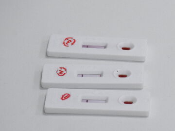 La Farmacia Lavapiés recoge test de antígenos para dárselos a las personas sin recursos.