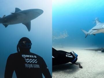 El apneista Miguel Lozano bucea entre tiburones para romper con el mito de su peligrosidad