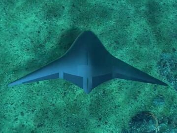 Drones mantarraya: la última propuesta del ejército de Estados Unidos para misiones oceánicas secretas
