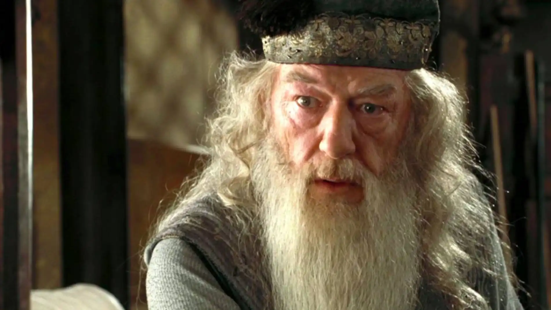 Michael Gambon como Dumbledore