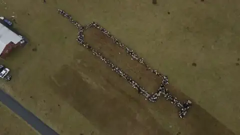 ¿Ovejas contra antivacunas?: 700 rumiantes crean una espectacular jeringuilla para animar a la vacunación en Alemania ¿Ovejas contra antivacunas?: 700 rumiantes crean una espectacular jeringuilla para animar a la vacunación en Alemania