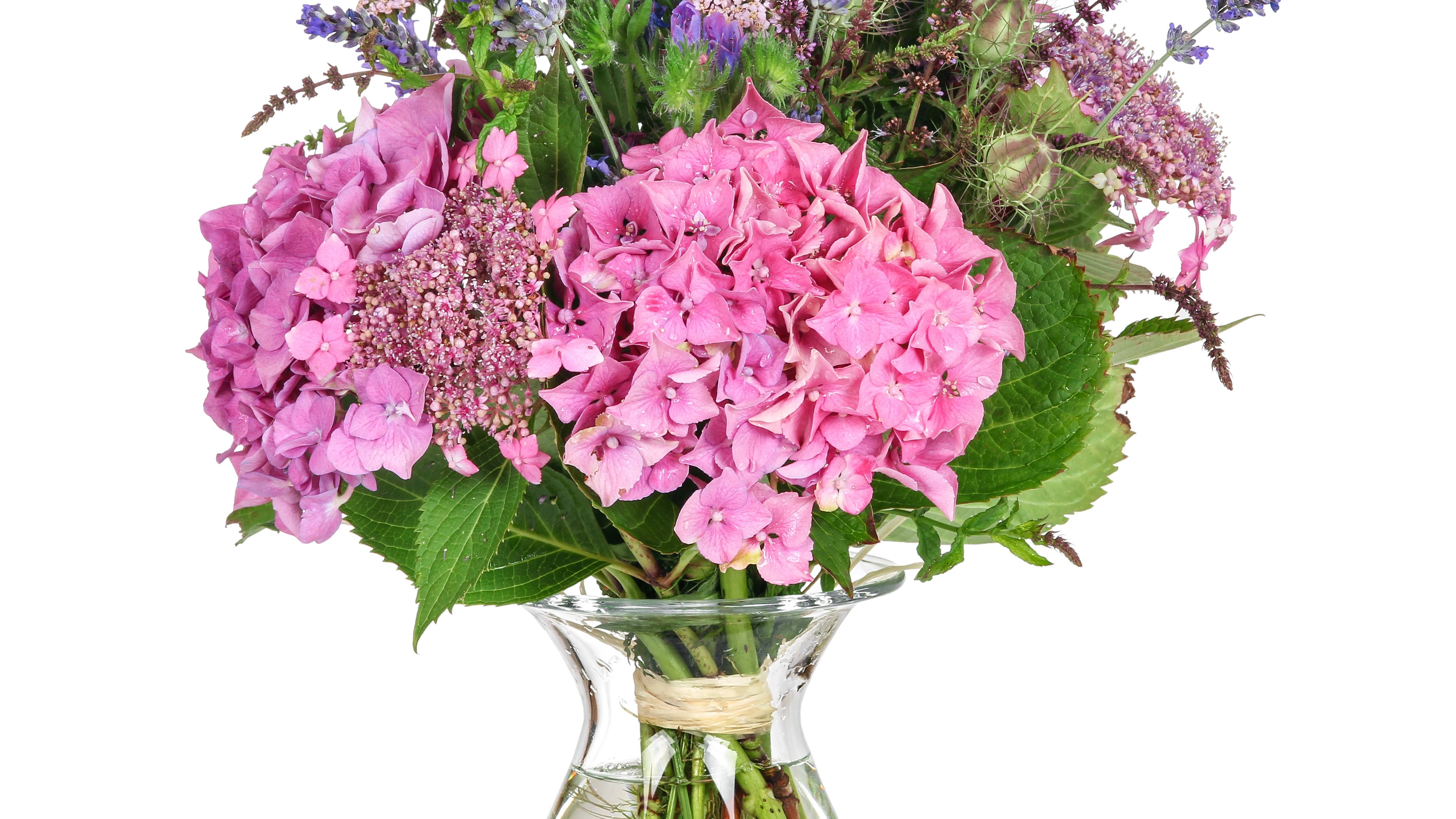 Flores Flores