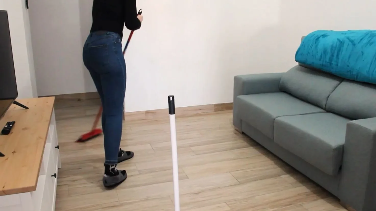 Limpieza de la casa Limpieza de la casa