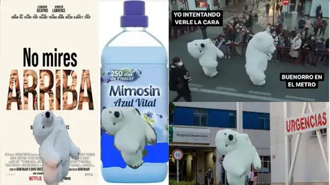 La cabalgata de Reyes de Cádiz se vuelve viral en redes sociales, risas y memes no faltan La cabalgata de Reyes de Cádiz se vuelve viral en redes sociales, risas y memes no faltan