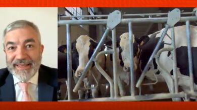 Luis Garicano, economista y eurodiputado de Ciudadanos, sobre las declaraciones de Garzón: 