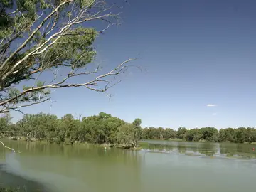 Emma, la niña de 2 años que fue encontrada muerta en un río de Indiana, murió por un ahogamiento homicida Emma, la niña de 2 años que fue encontrada muerta en un río de Indiana, murió por un ahogamiento homicida