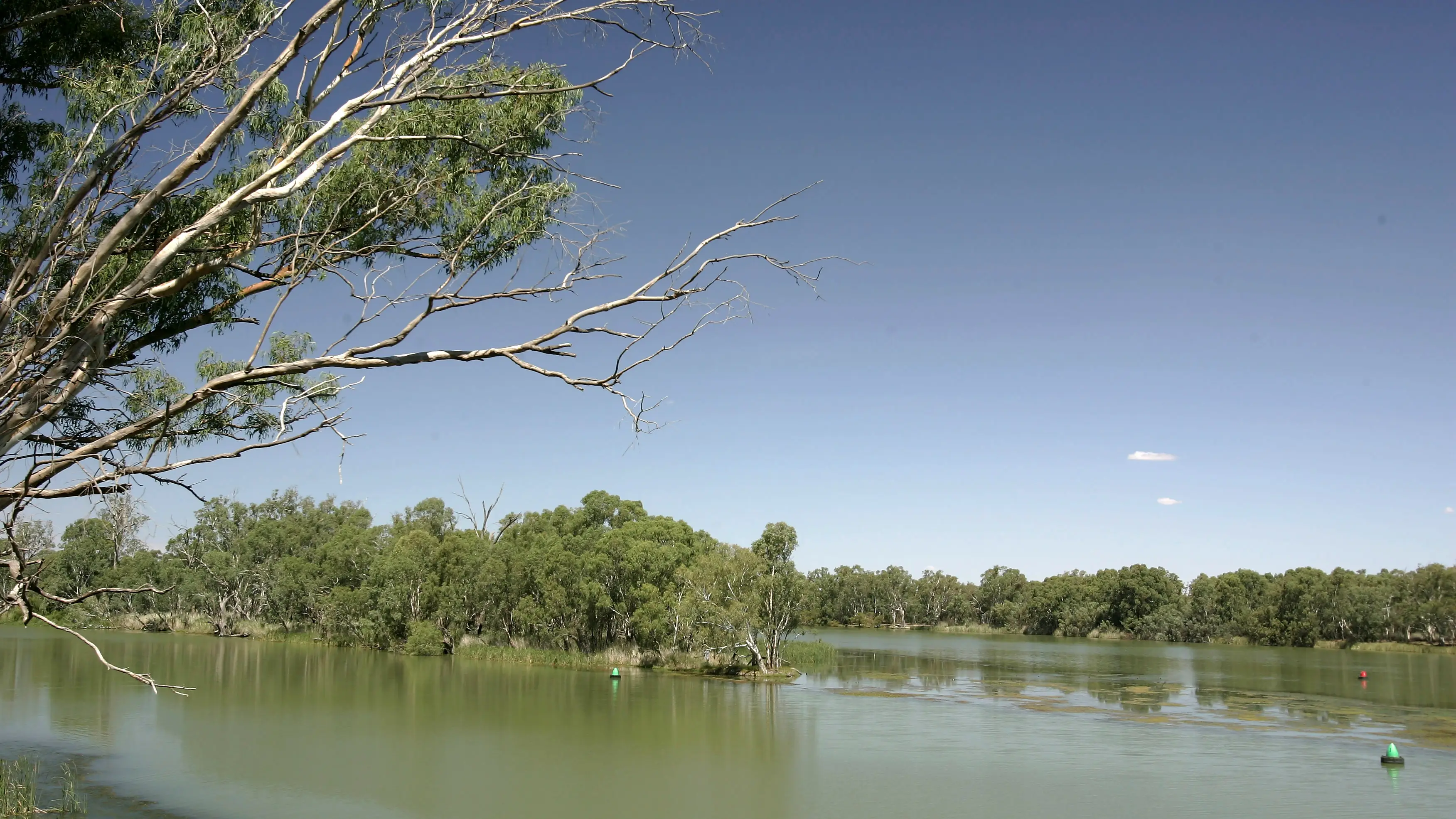 Emma, la ni&ntilde;a de 2 a&ntilde;os que fue encontrada muerta en un r&iacute;o de Indiana, muri&oacute; por un ahogamiento homicida