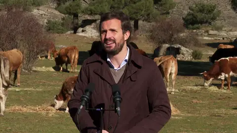Pablo Casado, presidente del PP Pablo Casado, presidente del PP