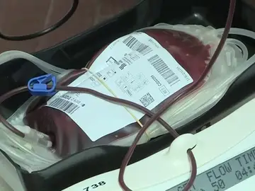 Alarma en España por la escasez de reservas sanguíneas provocado por el avance del coronavirus Alarma en España por la escasez de reservas sanguíneas provocado por el avance del coronavirus