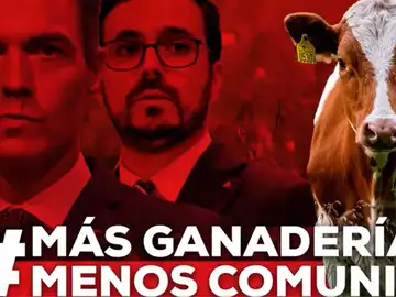 El Partido Popular lanza una campaña contra Alberto Garzón bajo el lema &quot;más ganadería, menos comunismo&quot;