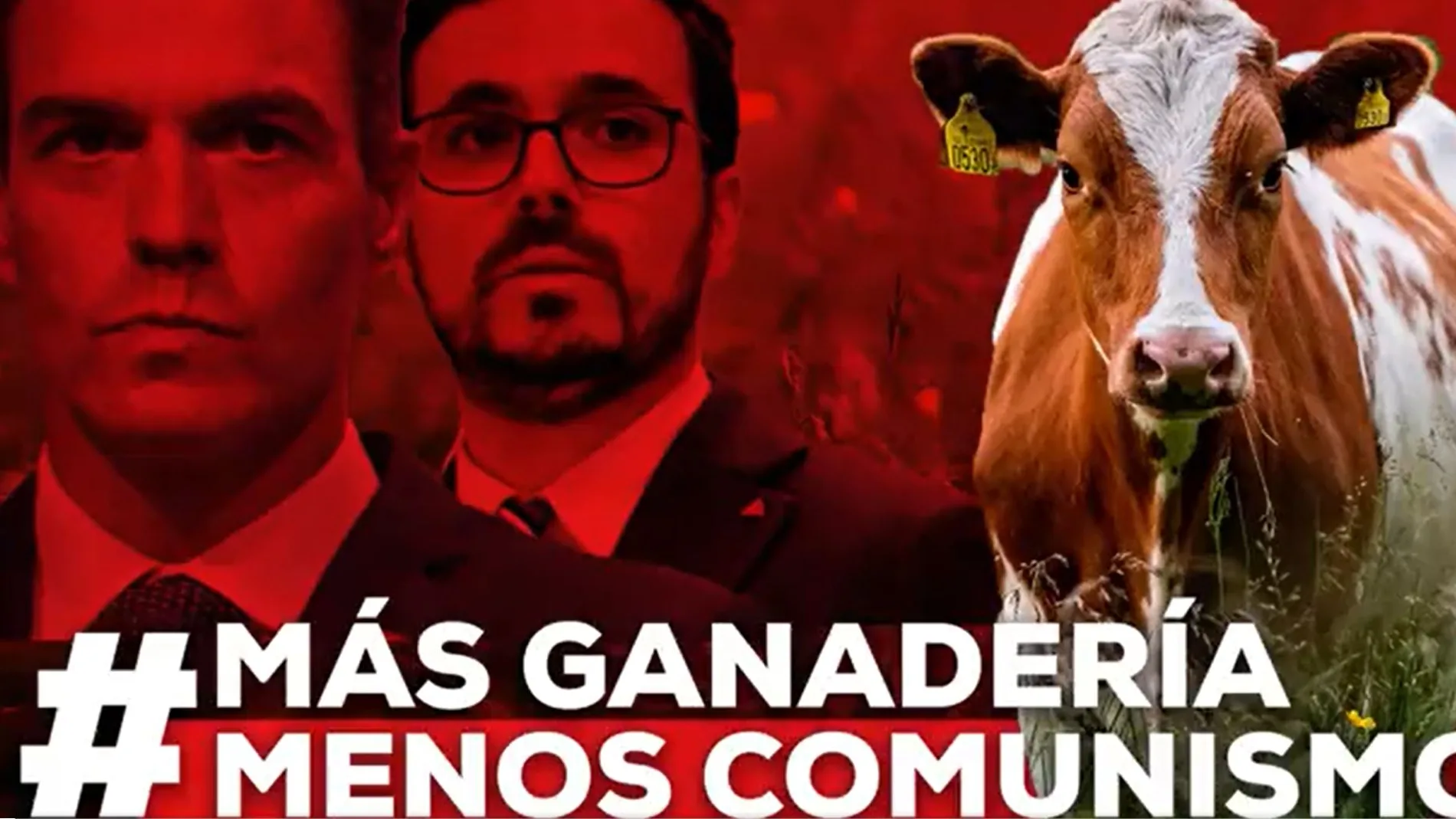 El Partido Popular lanza una campaña contra Alberto Garzón bajo el lema "más ganadería, menos comunismo"