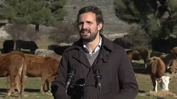 Pablo Casado insiste en que la carne española es "la mejor del mundo" y pide el cese inmediato de Alberto Garzón Pablo Casado insiste en que la carne española es "la mejor del mundo" y pide el cese inmediato de Alberto Garzón