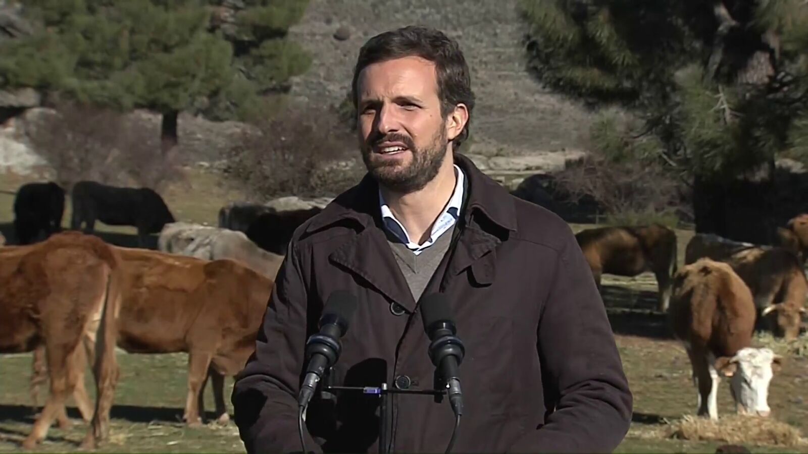 Pablo Casado insiste en que la carne española es 