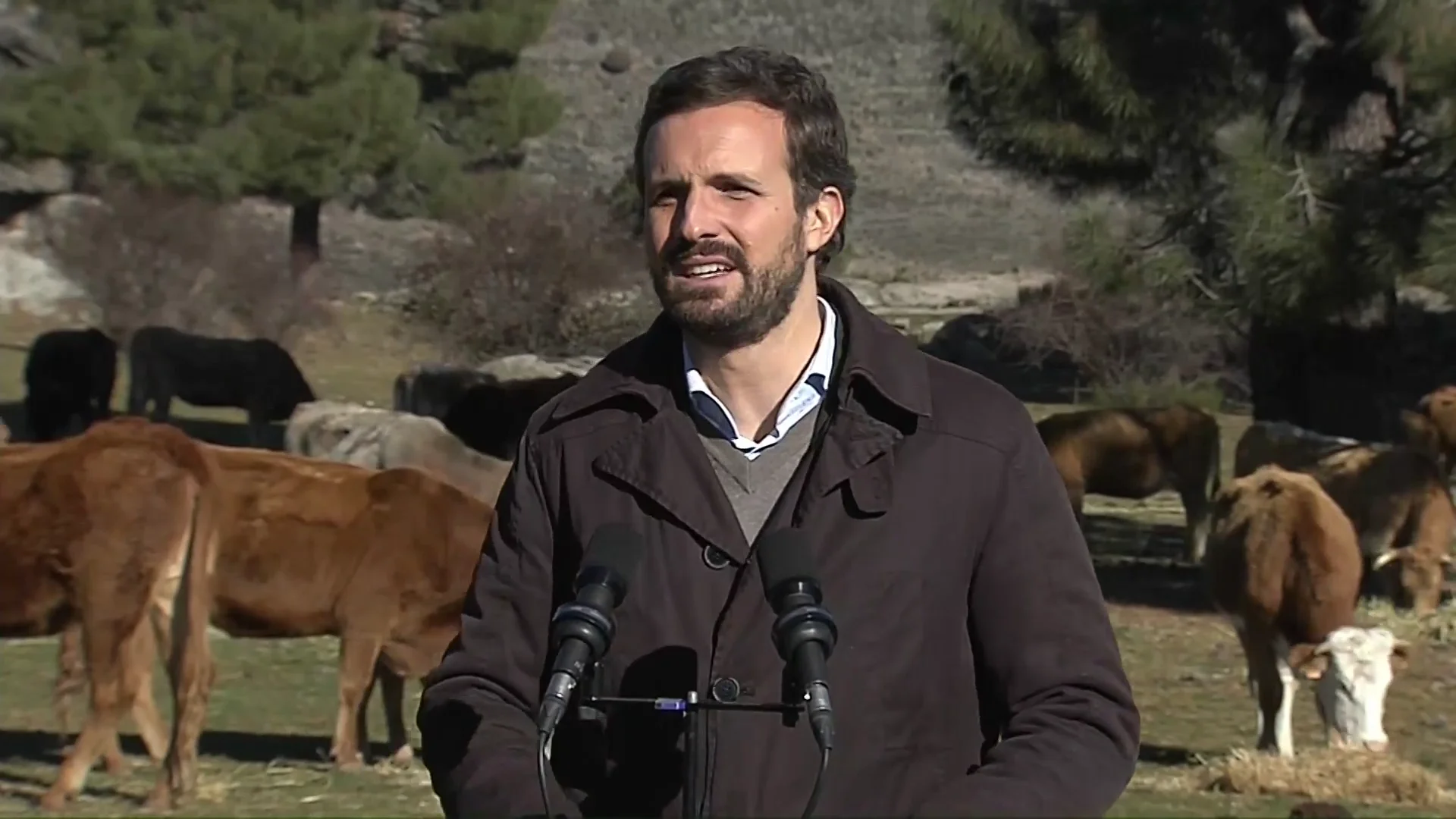Pablo Casado insiste en que la carne española es "la mejor del mundo" y pide el cese inmediato de Alberto Garzón Pablo Casado insiste en que la carne española es "la mejor del mundo" y pide el cese inmediato de Alberto Garzón
