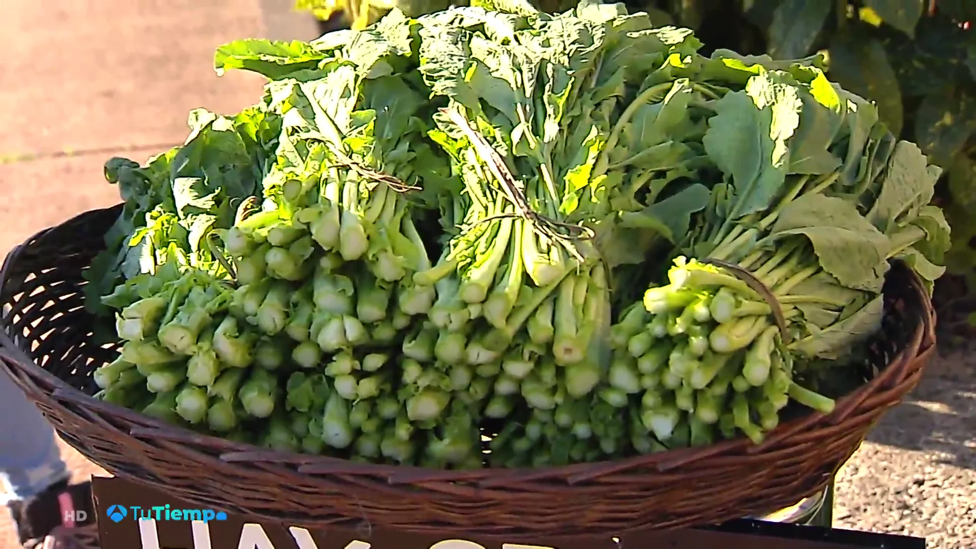 De la huerta a la carretera, es la &lsquo;ruta del grelo&rsquo; en Ordes, A Coru&ntilde;a