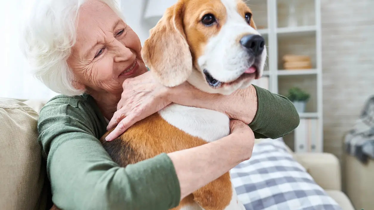 Ocho de cada diez españoles consideran que los animales tienen dignidad Ocho de cada diez españoles consideran que los animales tienen dignidad