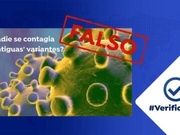 Investigamos por qué nadie da positivo en una variante antigua cuando una nueva llega